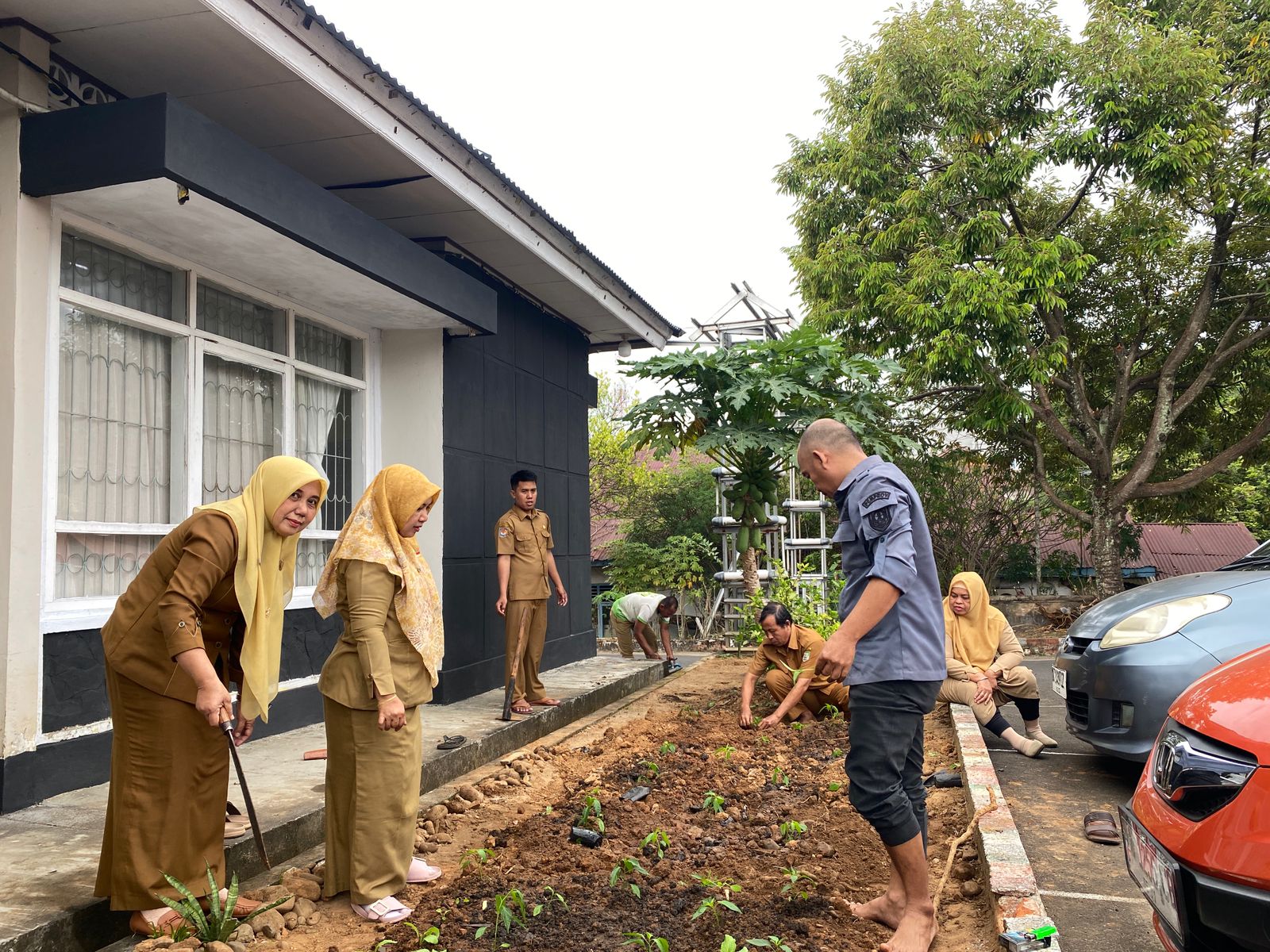 Menanam Sayuran di lahan Perkarangan Dinas Ketahanan Pangan