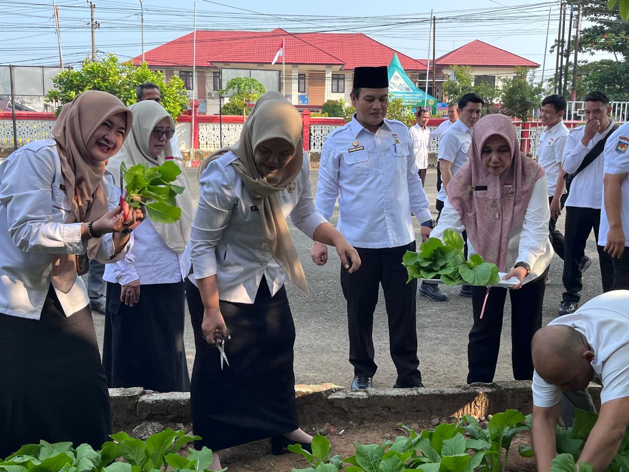 Panen Sayur dilahan Perkarangan Dinas Ketahanan Pangan