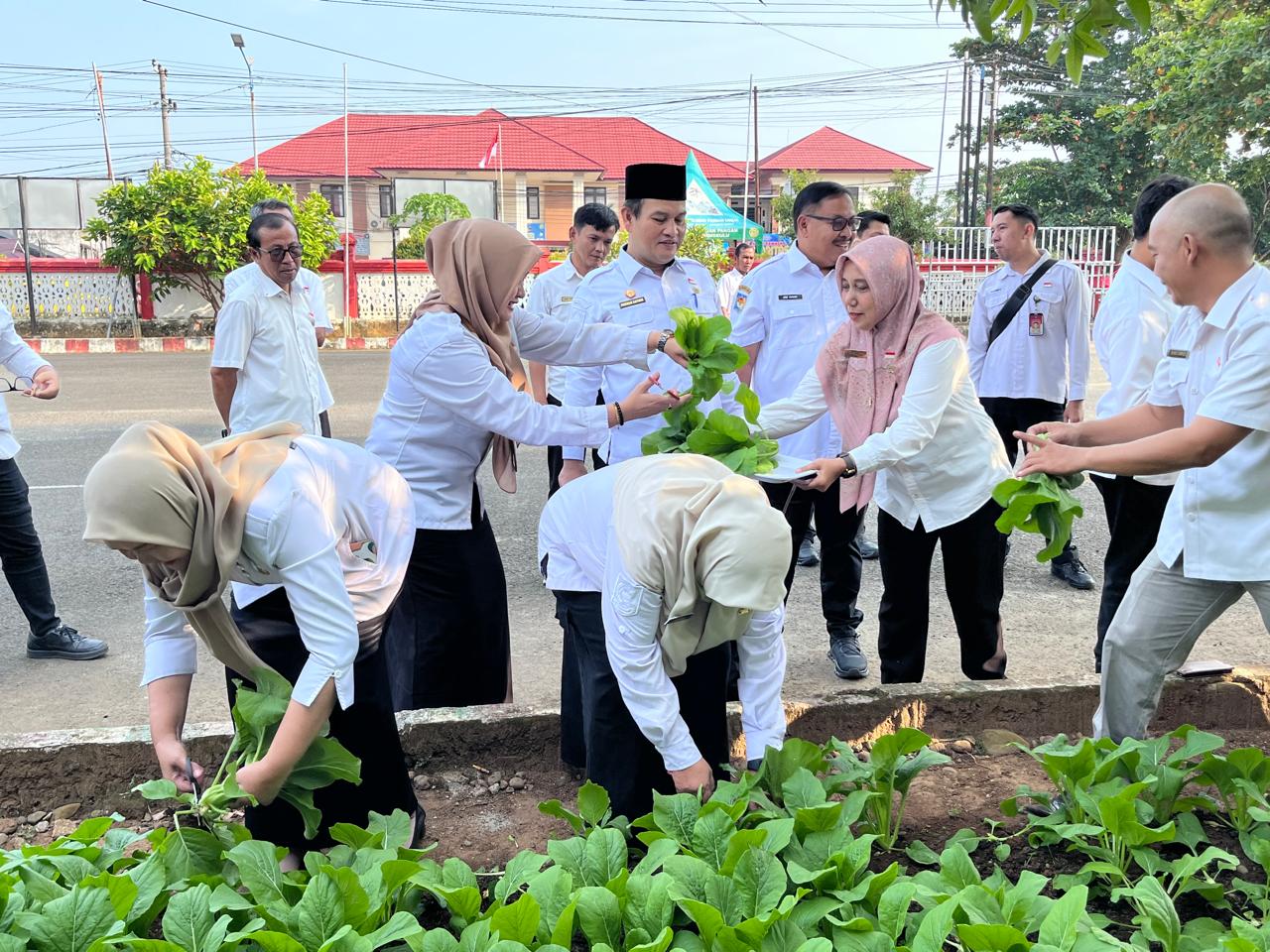 Pemanfaatan Lahan Perkarangan